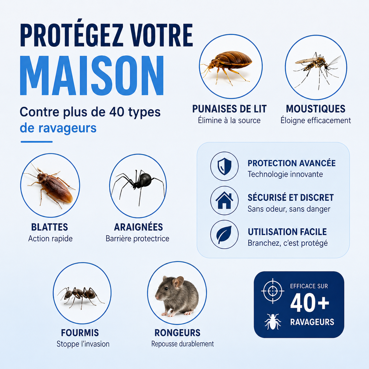 Pour en Finir avec les Punaises de Lit, Cafards et Souris – Aisansial™
