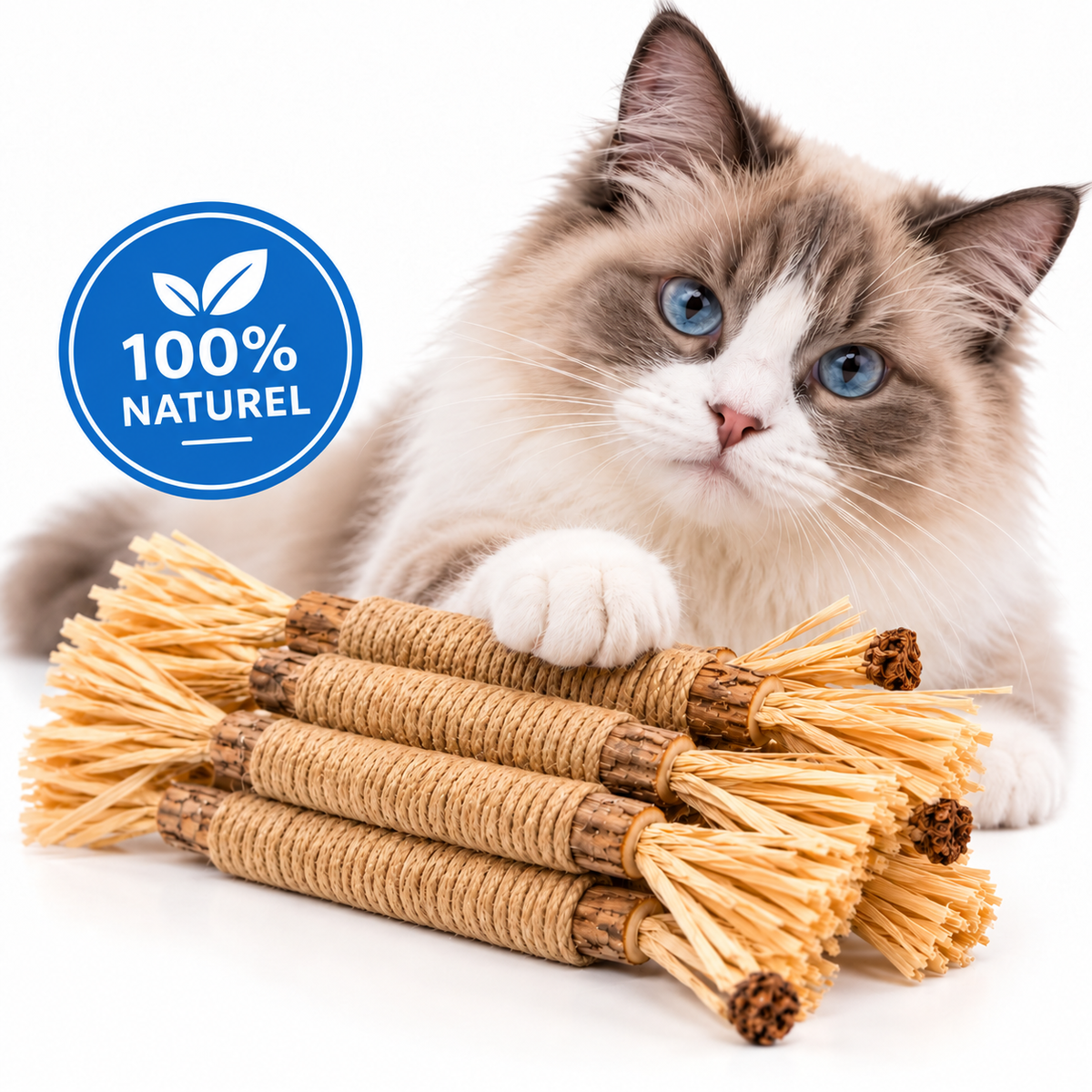 Bâtonnets Naturels pour Chats qui Mordent Tout — Pawsial™