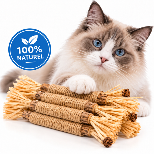 Bâtonnets Naturels pour Chats qui Mordent Tout — Pawsial™