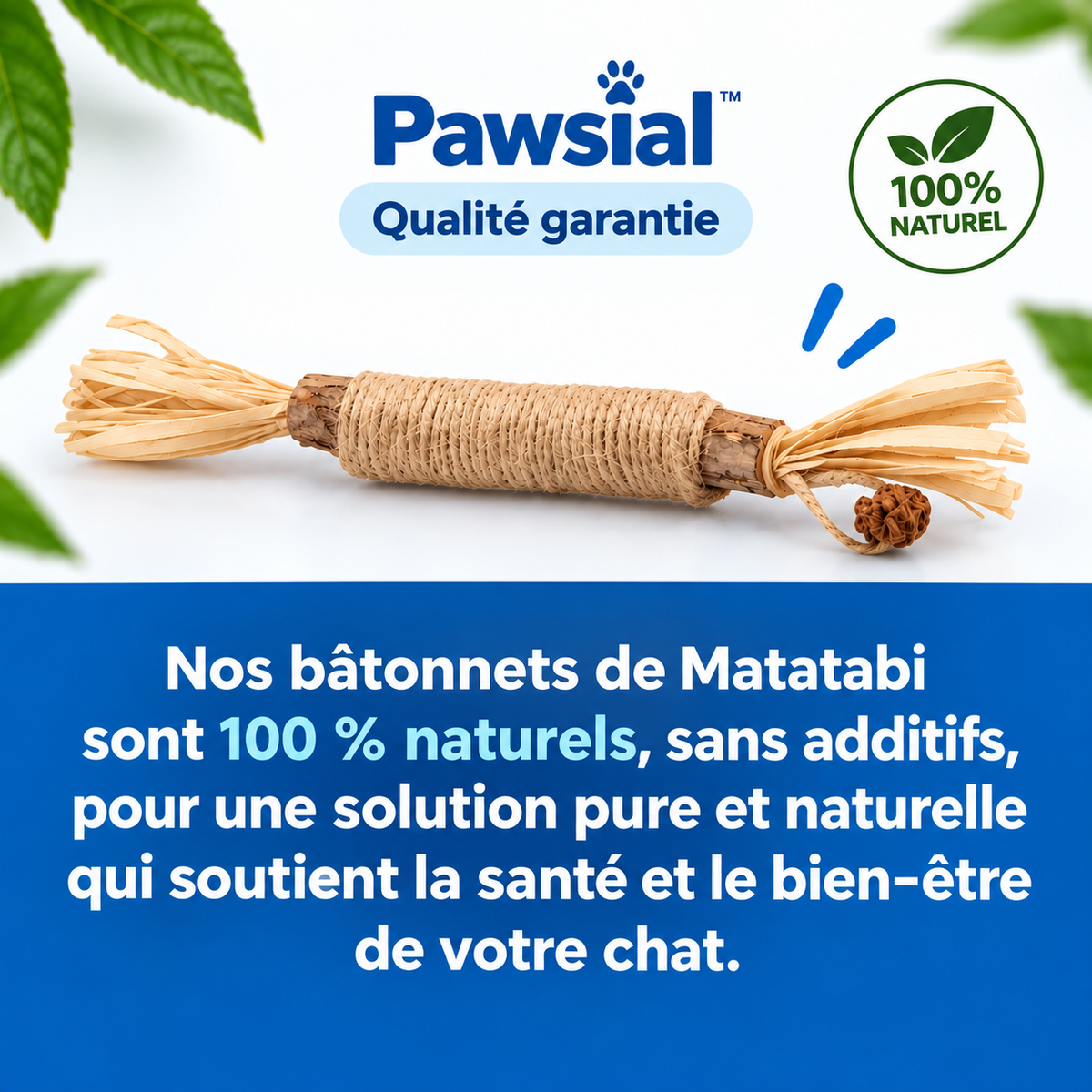 Bâtonnets Naturels pour Chats qui Mordent Tout — Pawsial™
