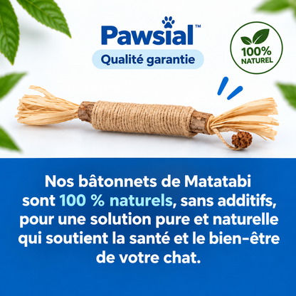 Bâtonnets Naturels pour Chats qui Mordent Tout — Pawsial™