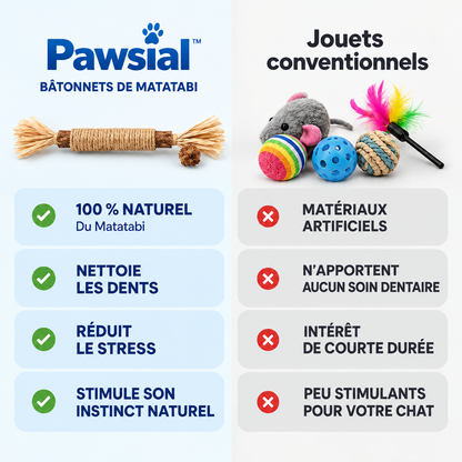 Bâtonnets Naturels pour Chats qui Mordent Tout — Pawsial™