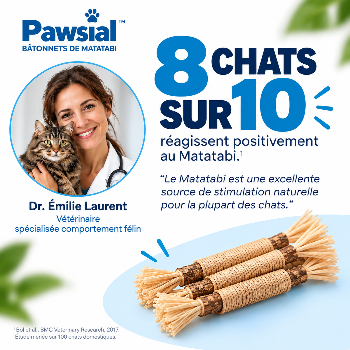 Bâtonnets Naturels pour Chats qui Mordent Tout — Pawsial™