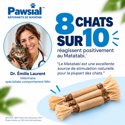 Bâtonnets Naturels pour Chats qui Mordent Tout — Pawsial™